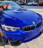 BMW M3 F80/F81 CARBON FIBRE DOUBLE SLAT FRONT GRILLES